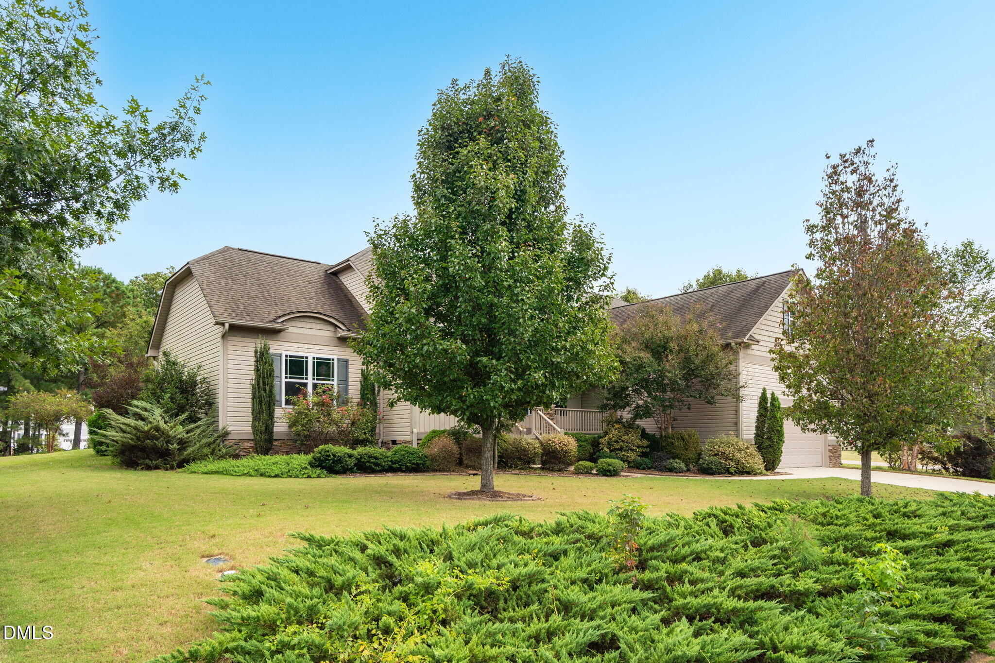 84 Scarlet Oak