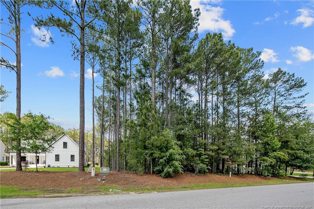 255 Barons Run (Lot 436) W
