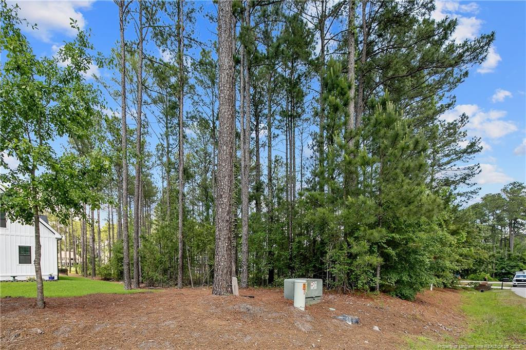 255 Barons Run (Lot 436) W