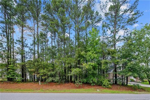 255 Barons Run (Lot 436) W Spring Hope NC 28390