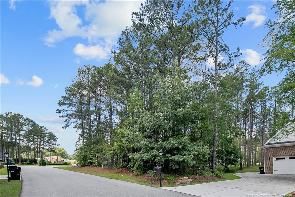 255 Barons Run (Lot 436) W