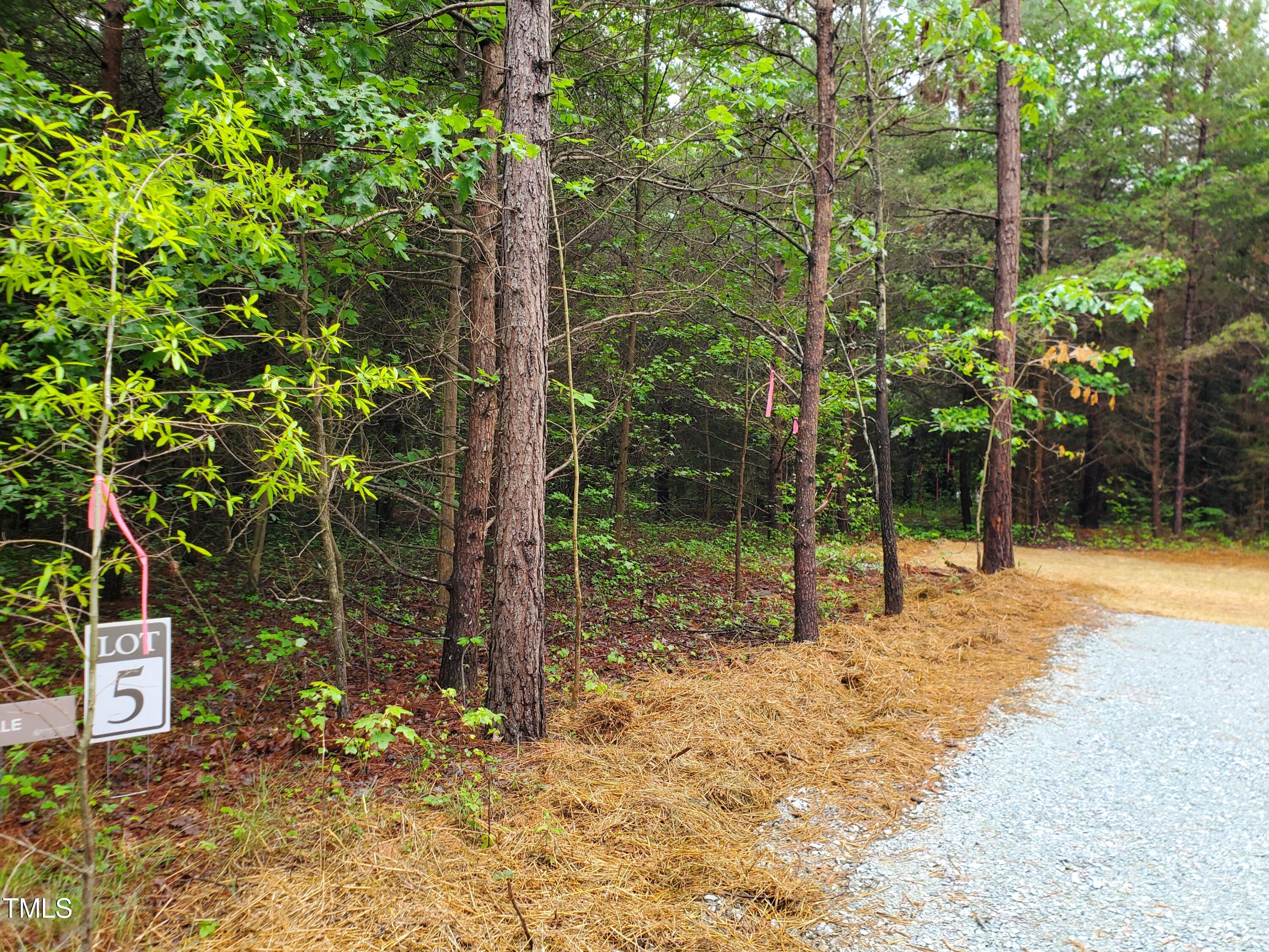 Lot 5 Molita Lane