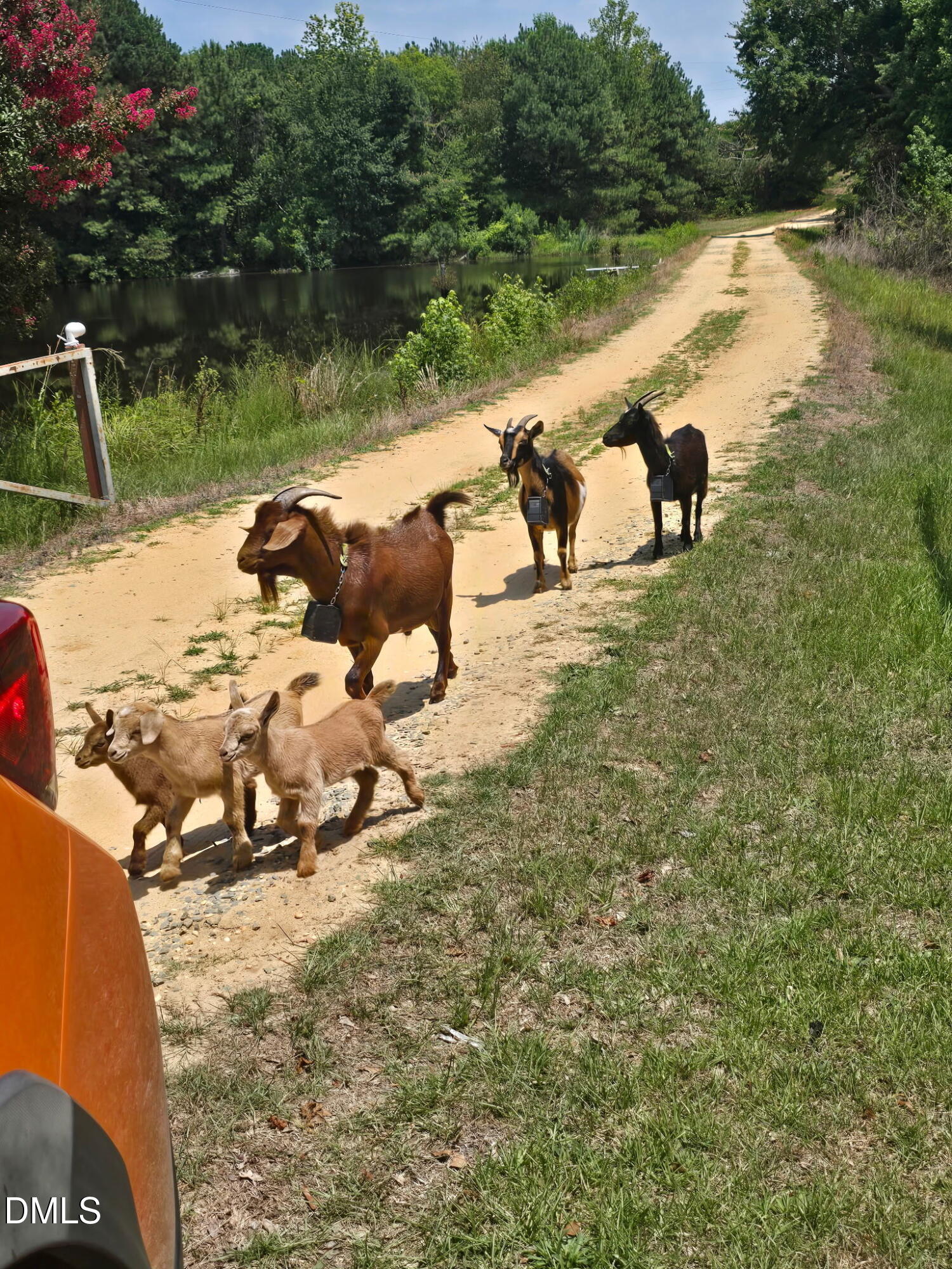 616 Trail End Lane