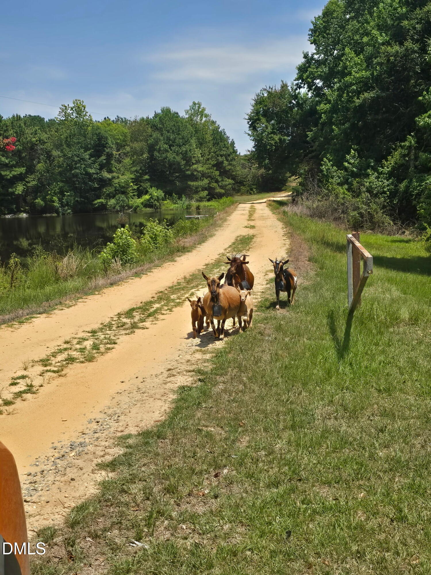 616 Trail End Lane