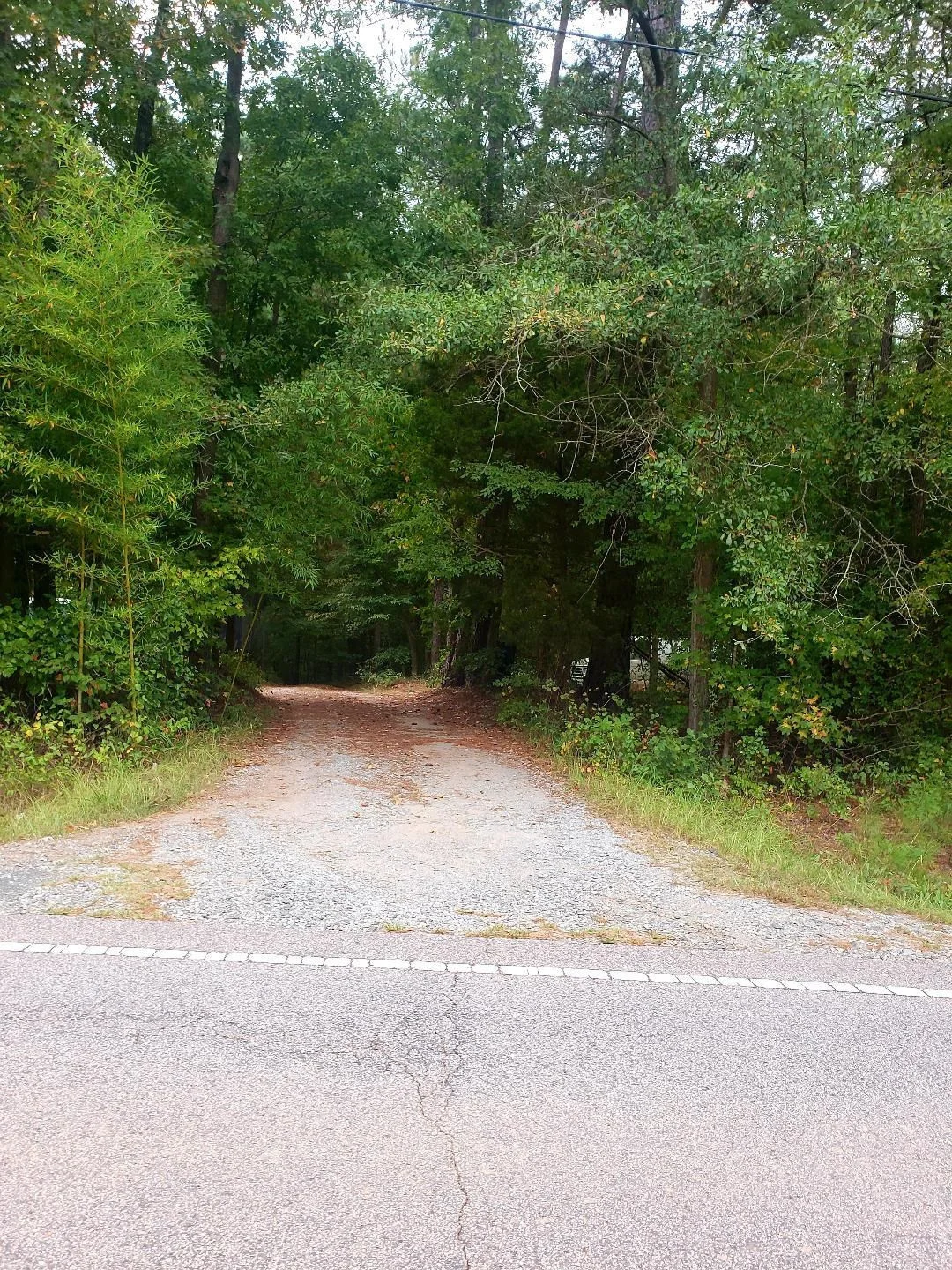 1201,1205 Olive Branch Road