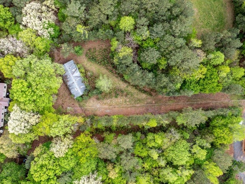 Photo for 220 Alvis Alston Road