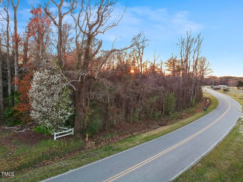 Unimproved Land in Stantonsburg NC 0 Apple Tree Creek Road 5.jpg