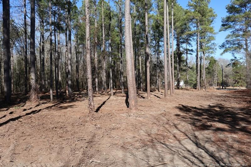 TBD NC Hwy 130 Highway