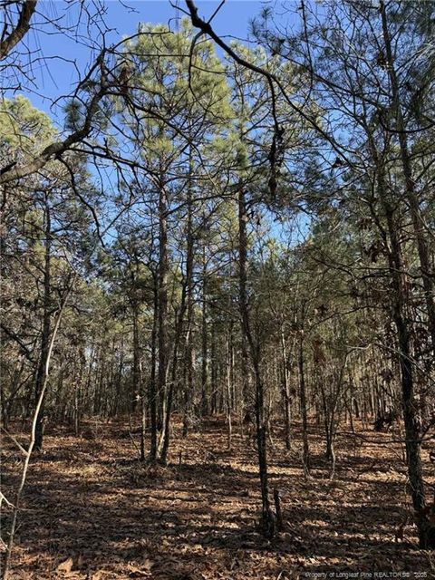 257 Lakeview Lane Cameron NC 28326