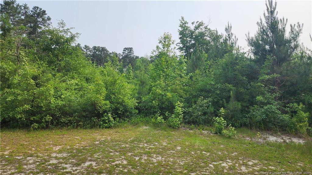 398 Dogwood Trail