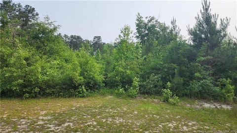 398 Dogwood Trail Lumber Bridge NC 28371