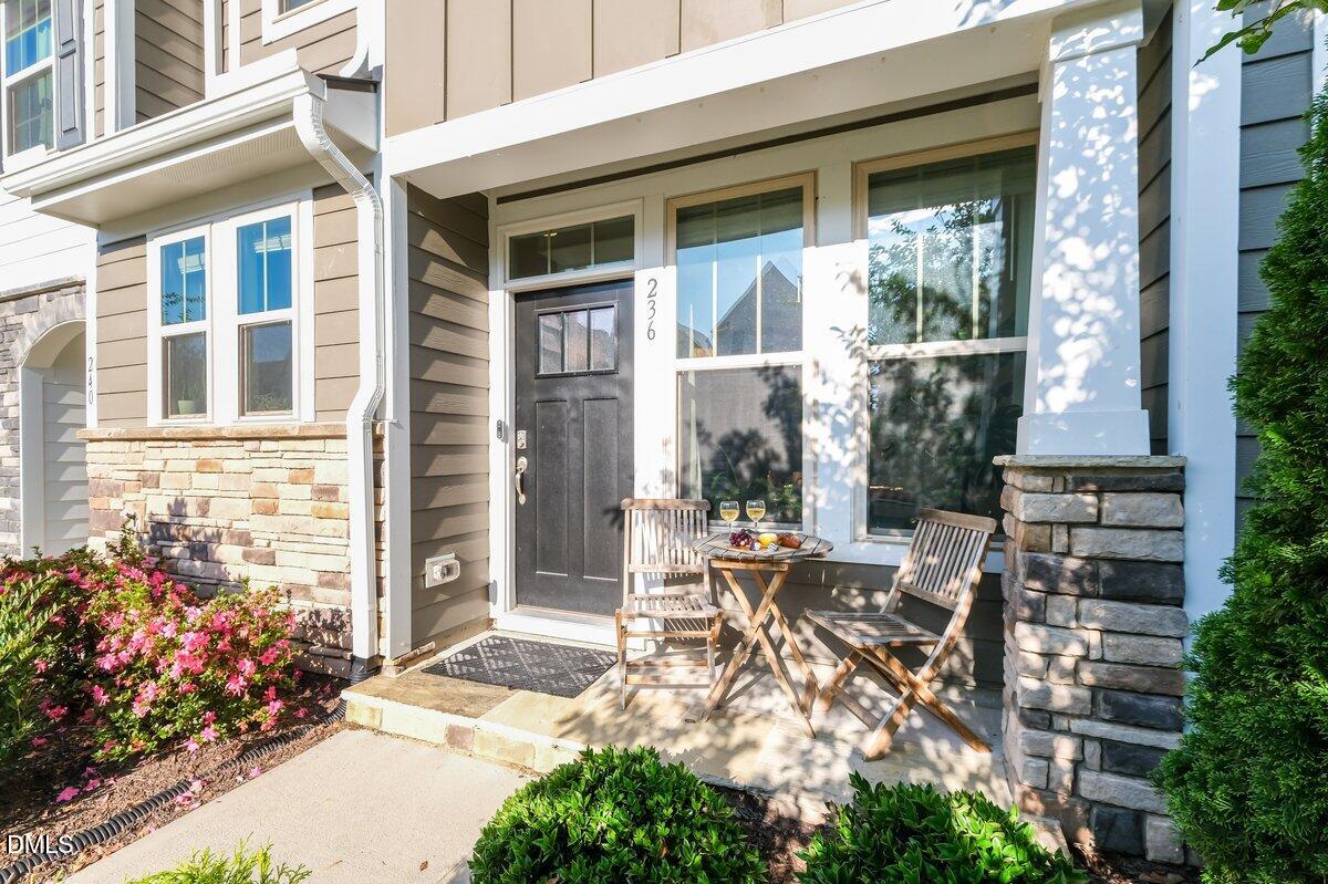 236 Douglas Falls Drive