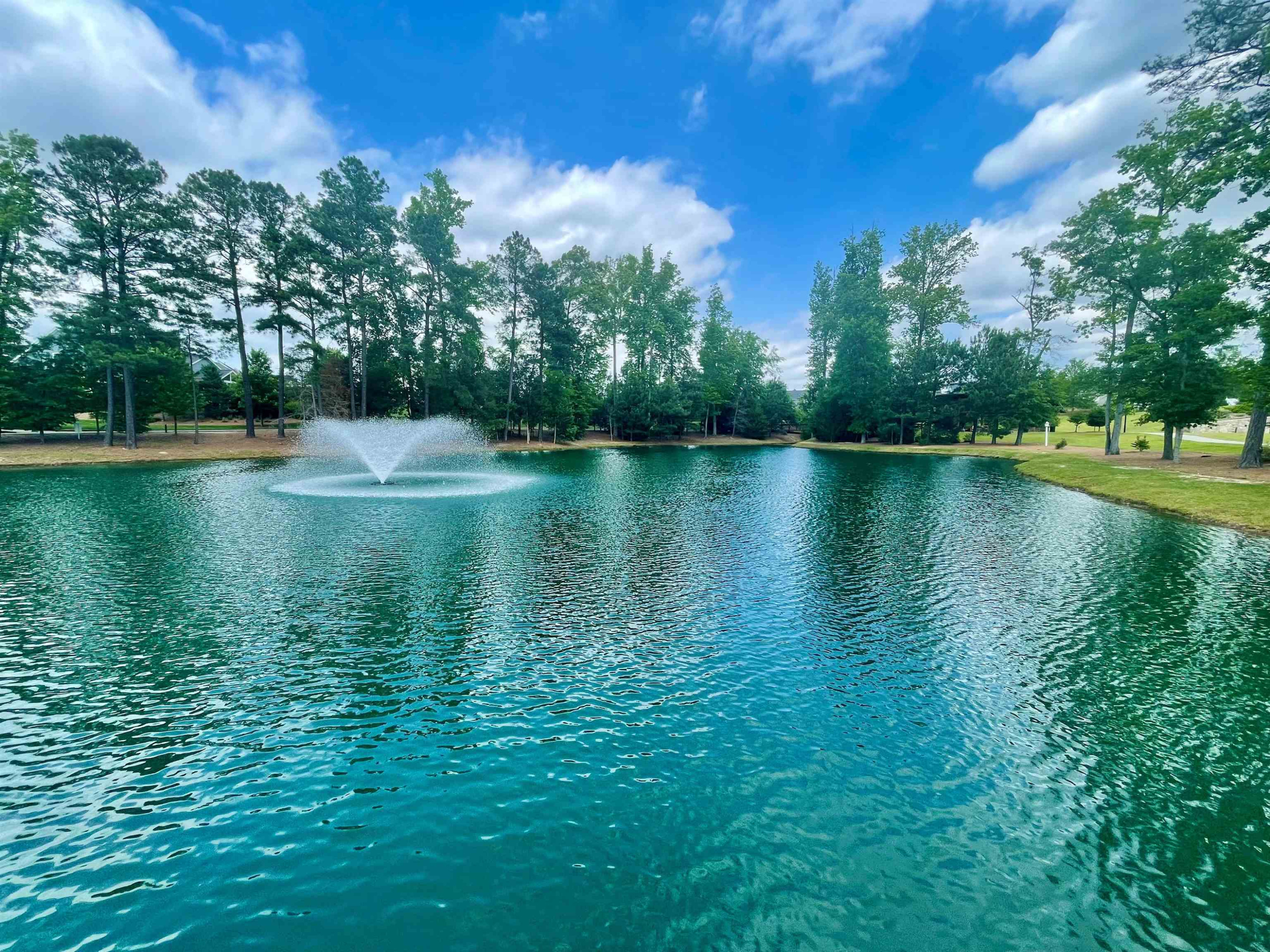 2438 Whitewing Lane