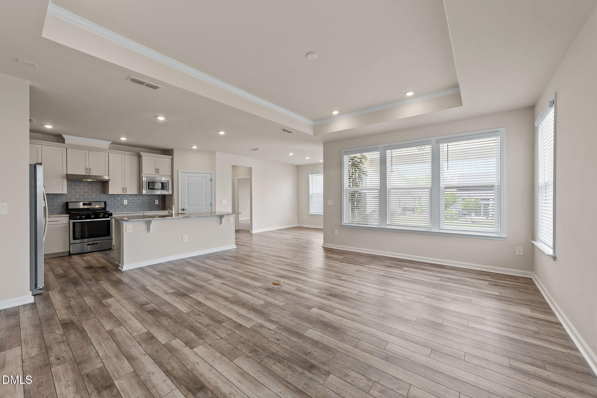 1616 Silver Spotted Way