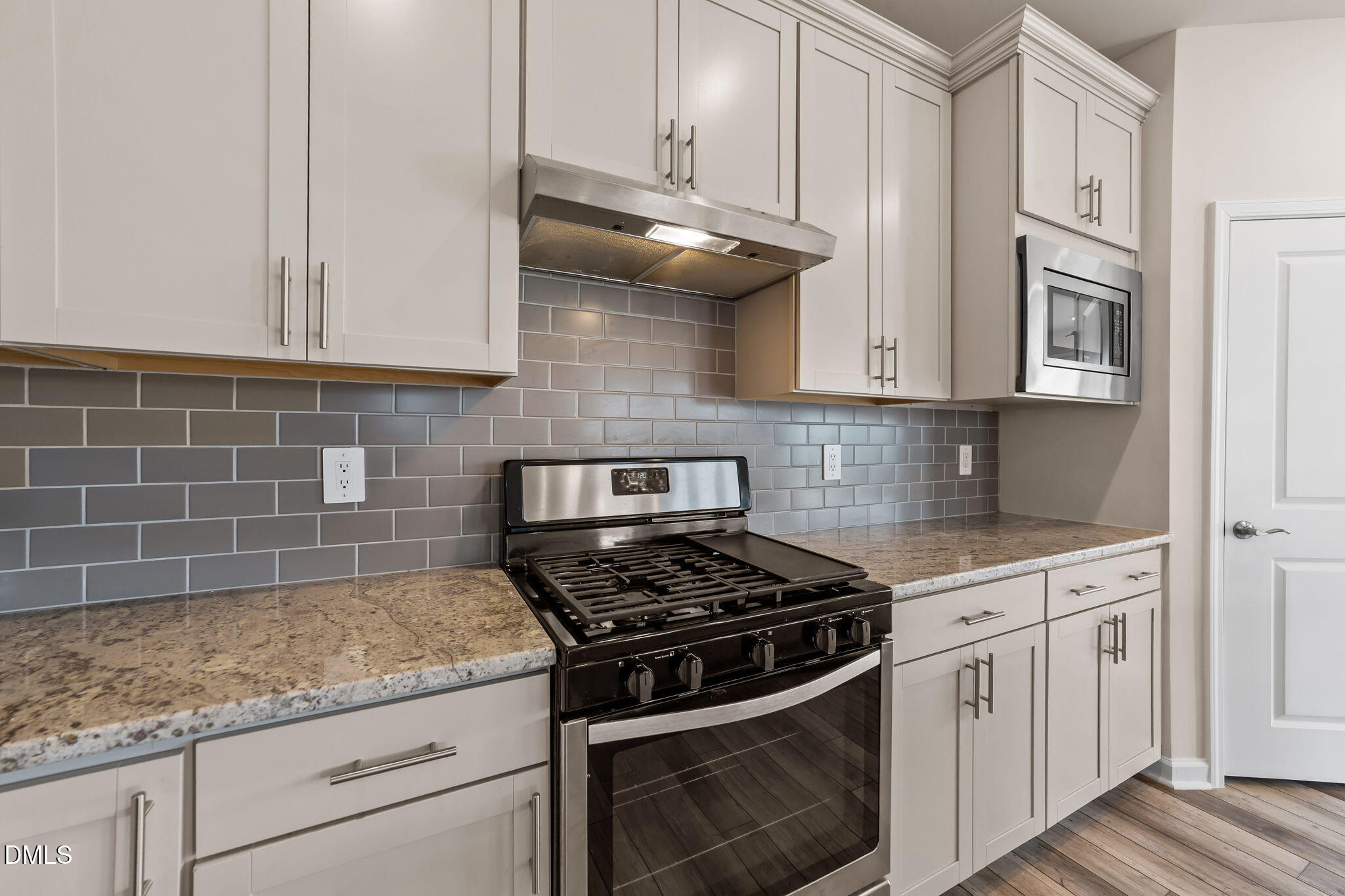 1616 Silver Spotted Way