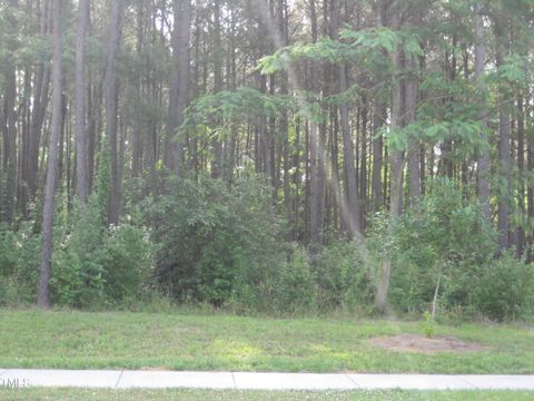 Unimproved Land in Youngsville NC 0 US Hwy 1.jpg