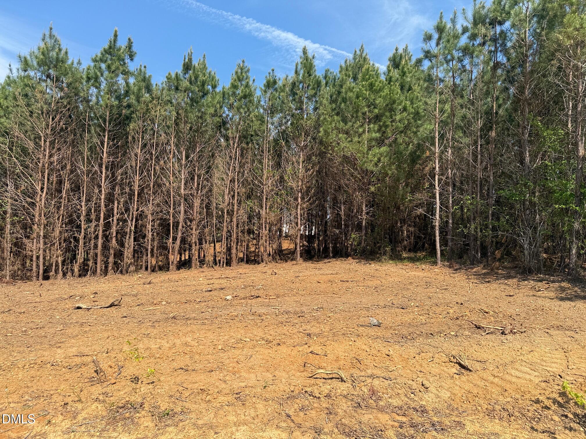 2345 Peachtree Hills Road