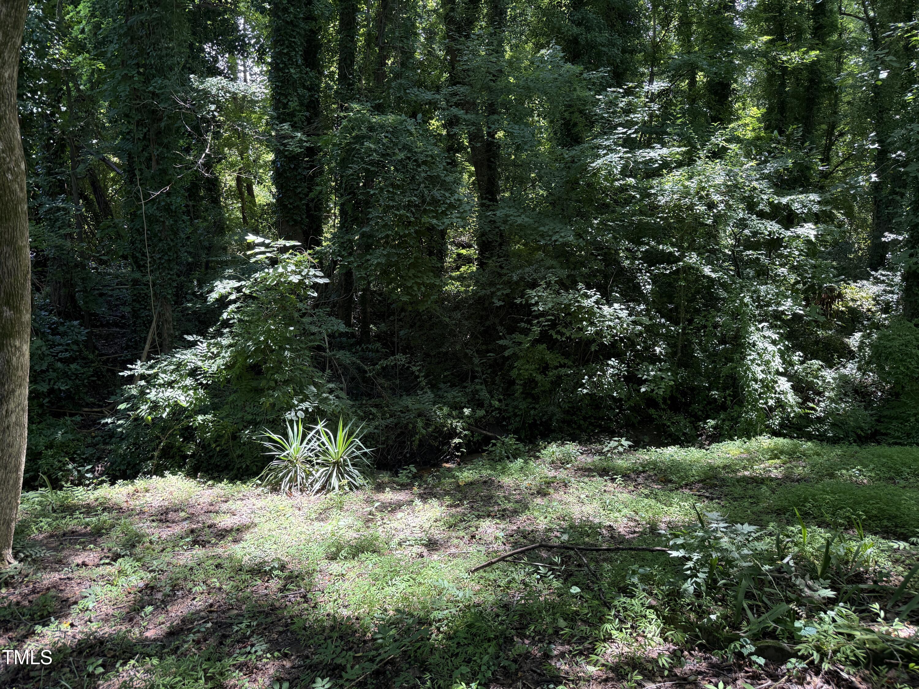 2308 Stonesthrow Court