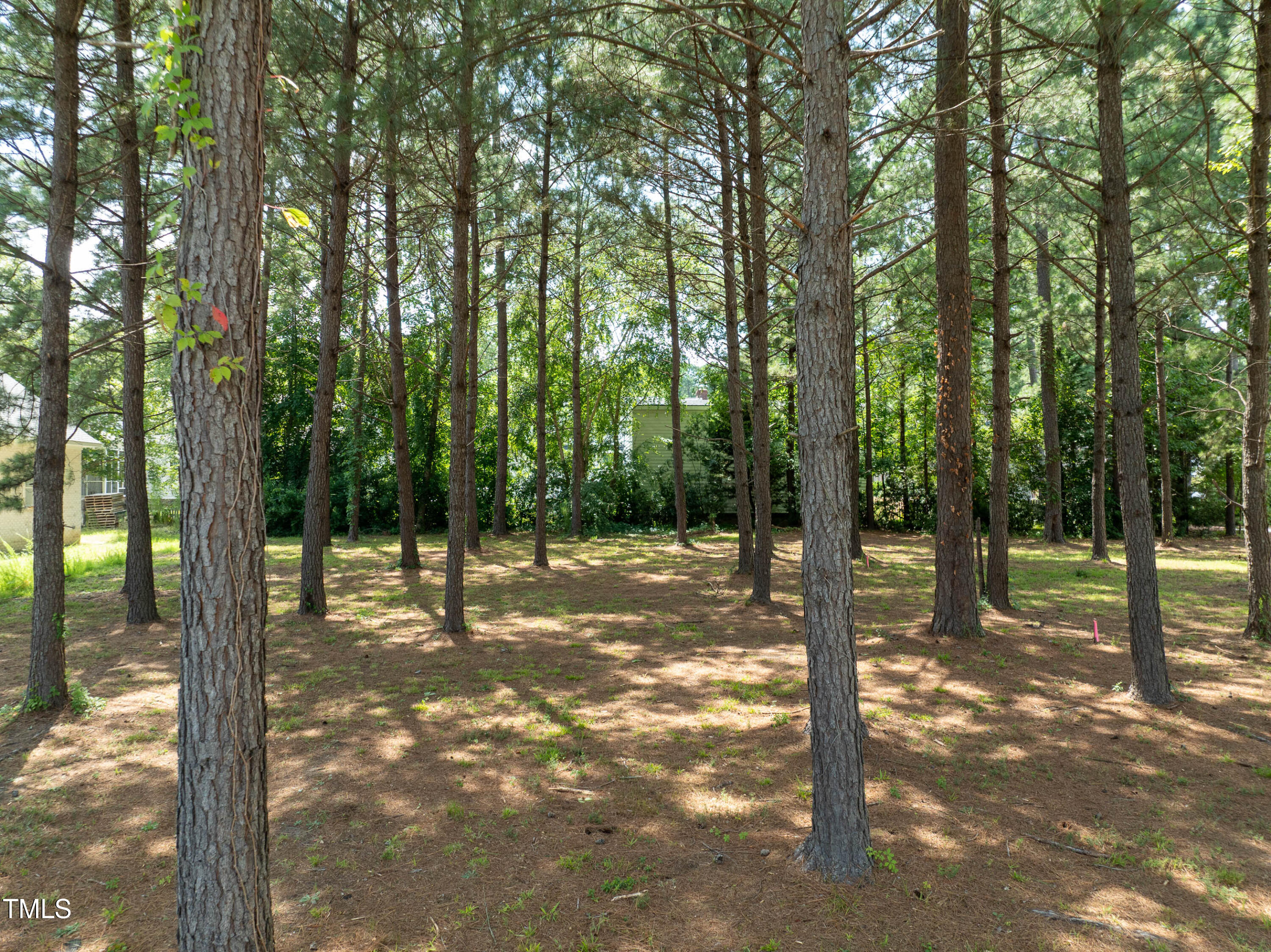 1124 Azalea Lane NW