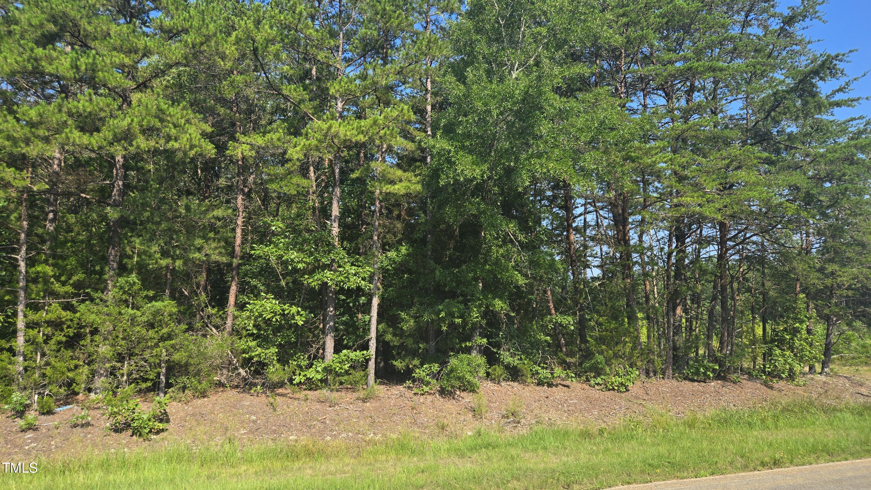 00 Robert Morgan Road