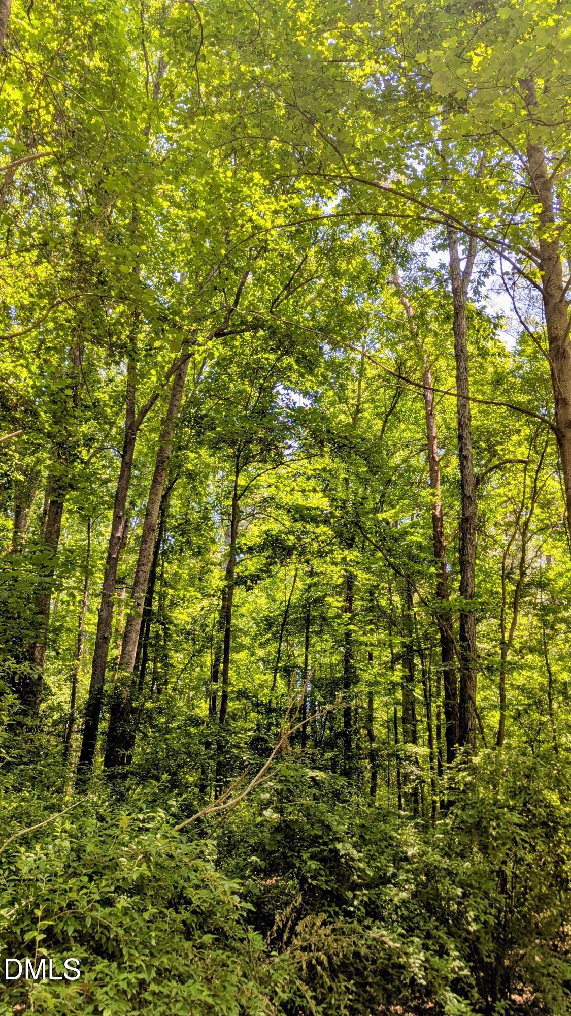 Lot 1 Blueberry Lane