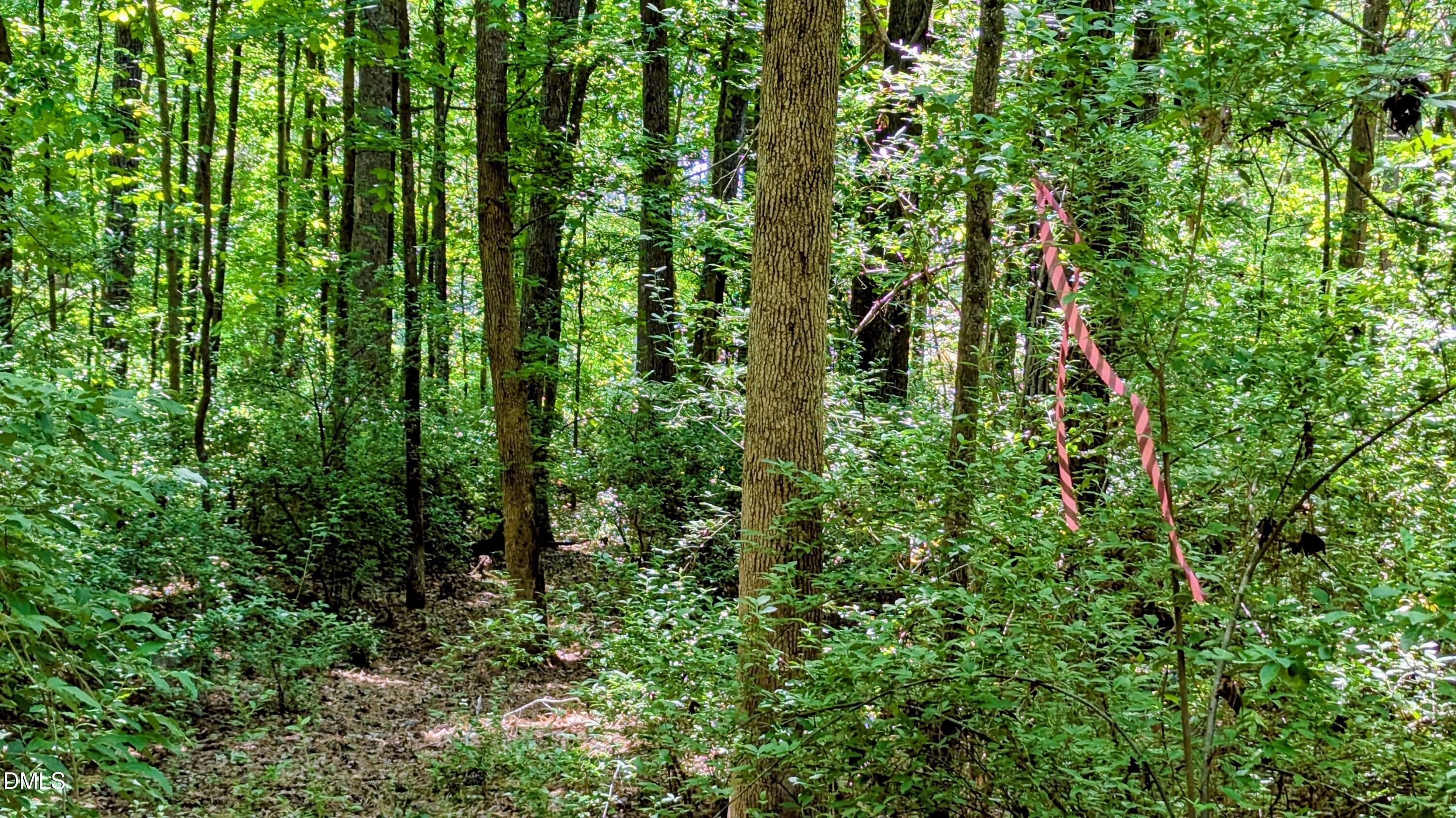Lot 1 Blueberry Lane