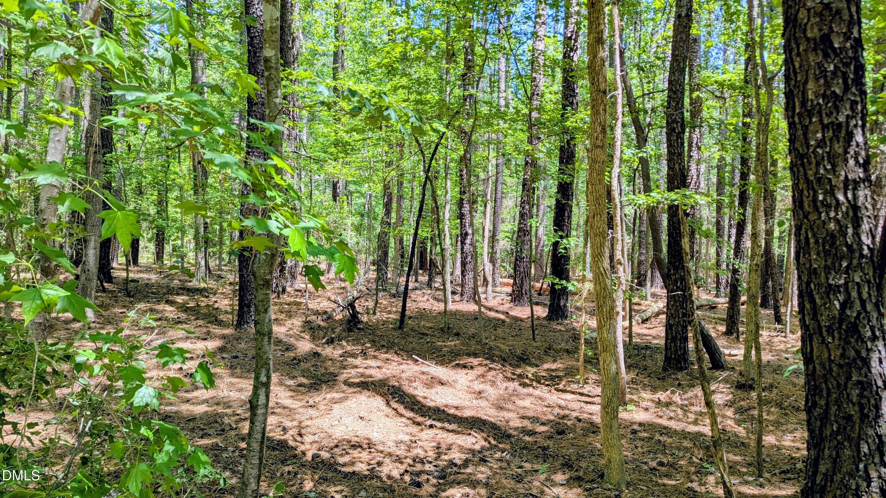 Lot 1 Blueberry Lane