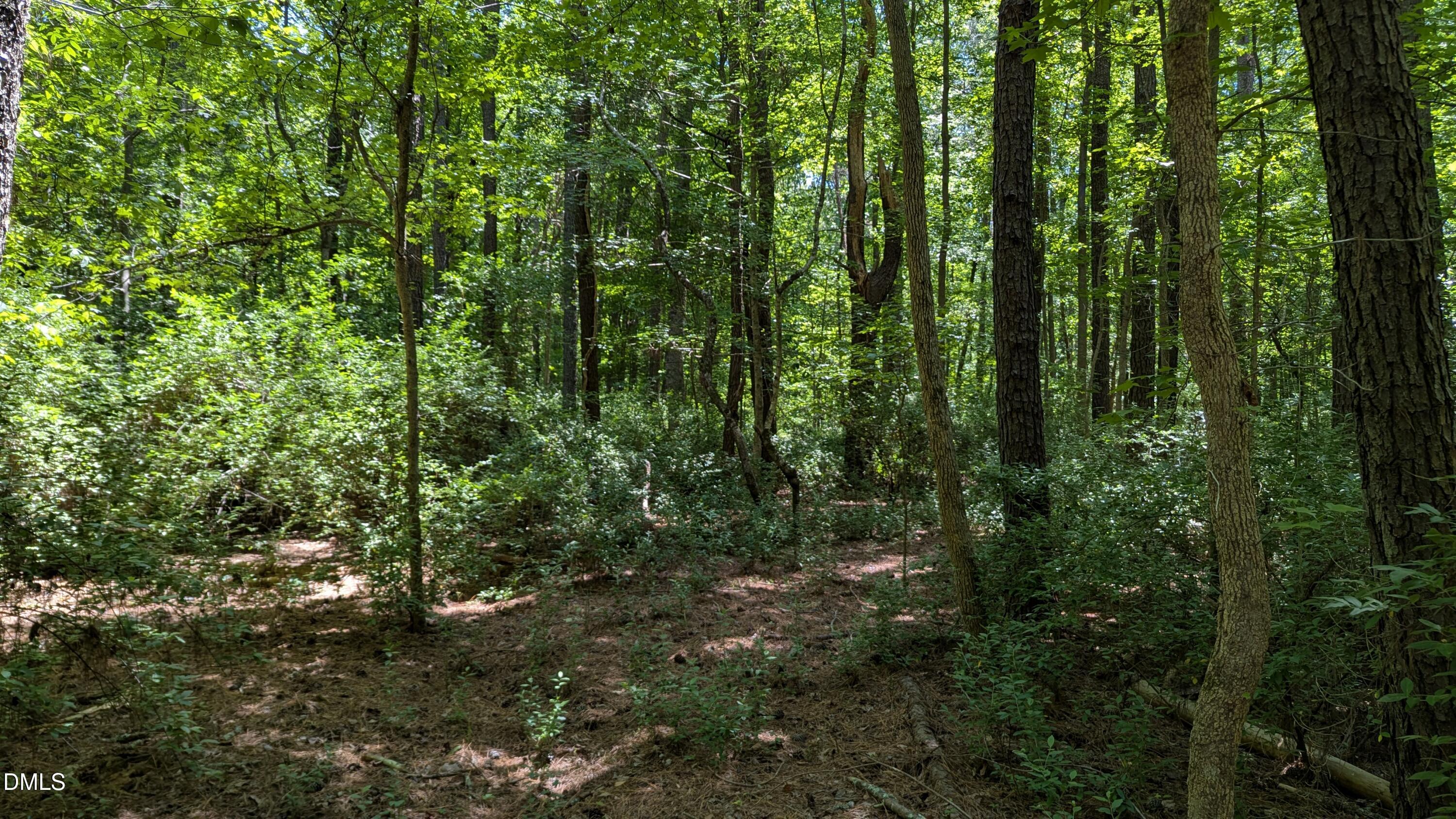 Lot 1 Blueberry Lane