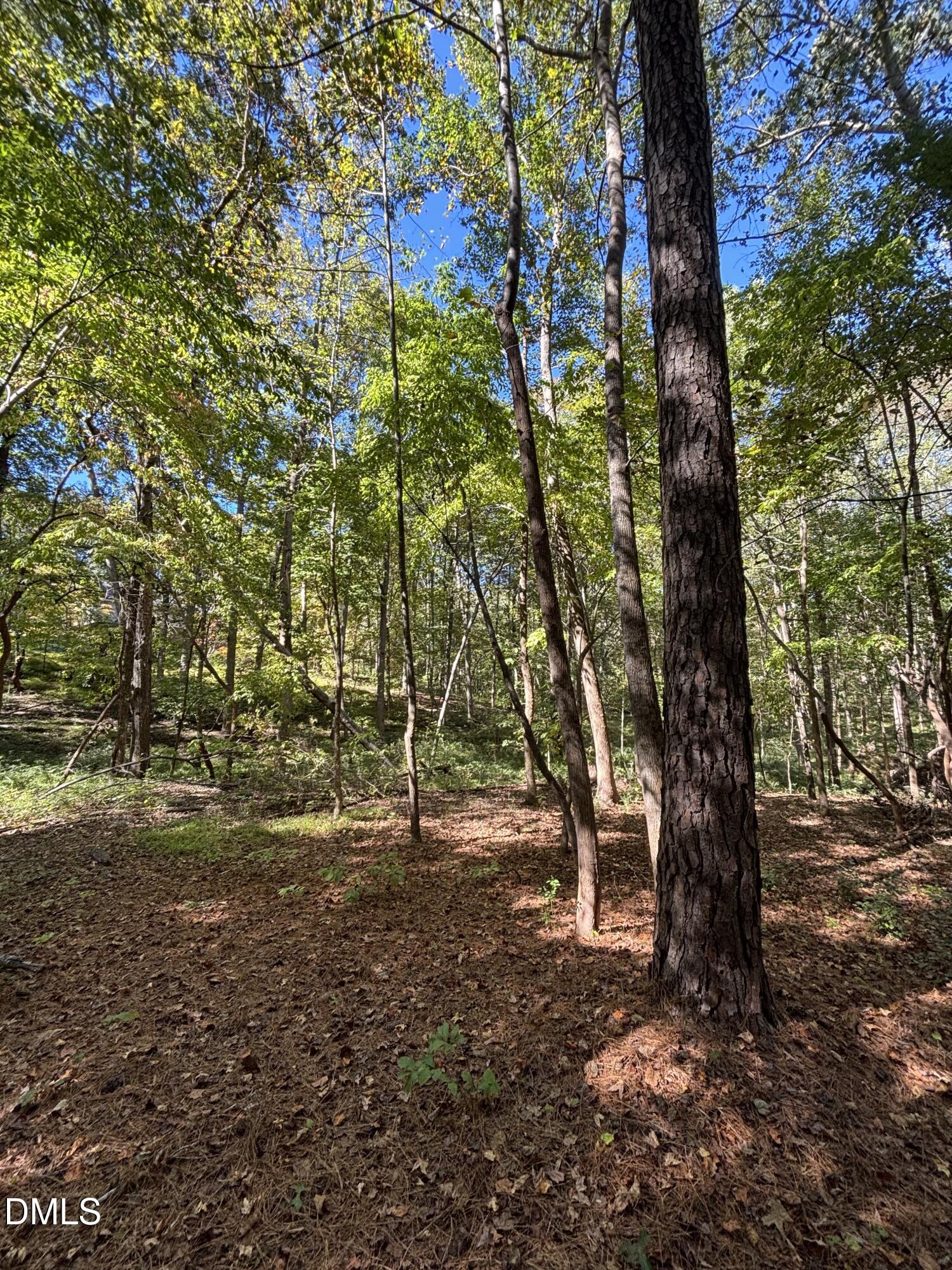 0 Reedy Creek Rd Road