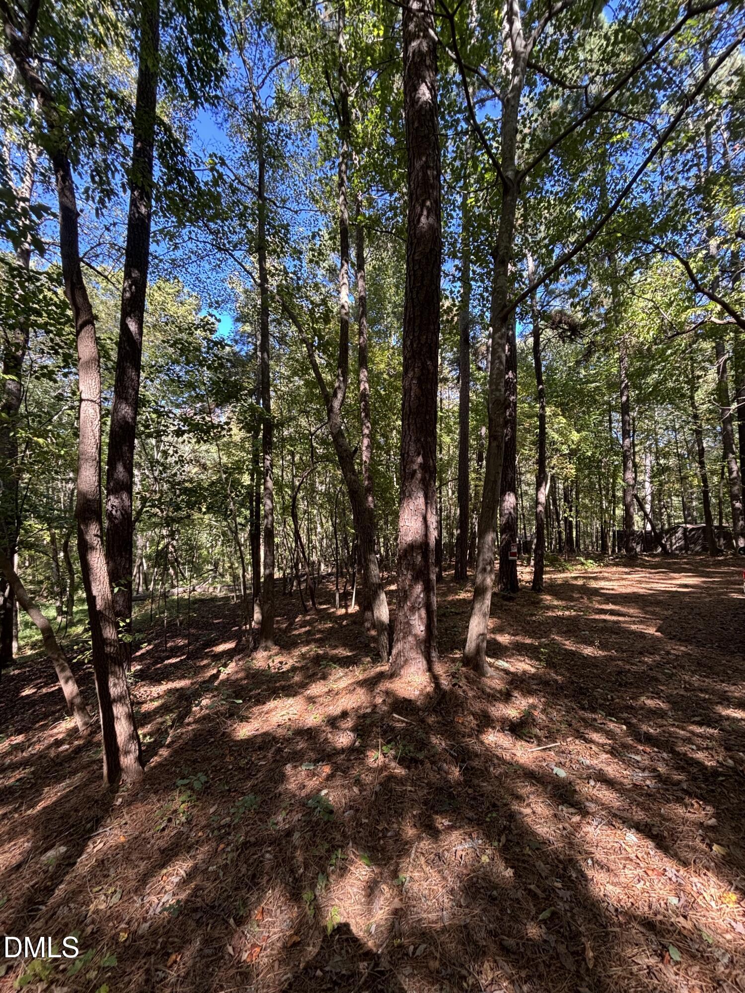 0 Reedy Creek Rd Road