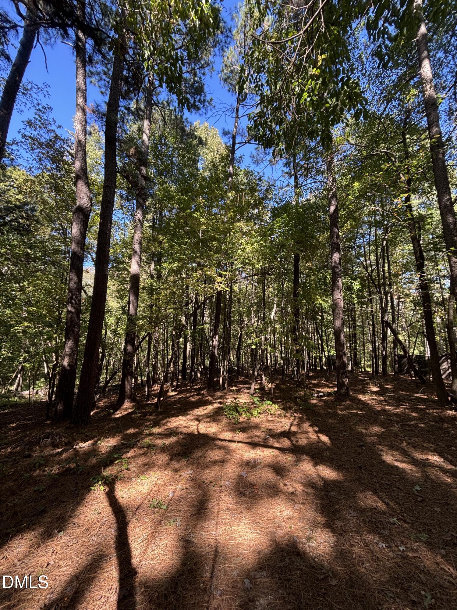 0 Reedy Creek Rd Road