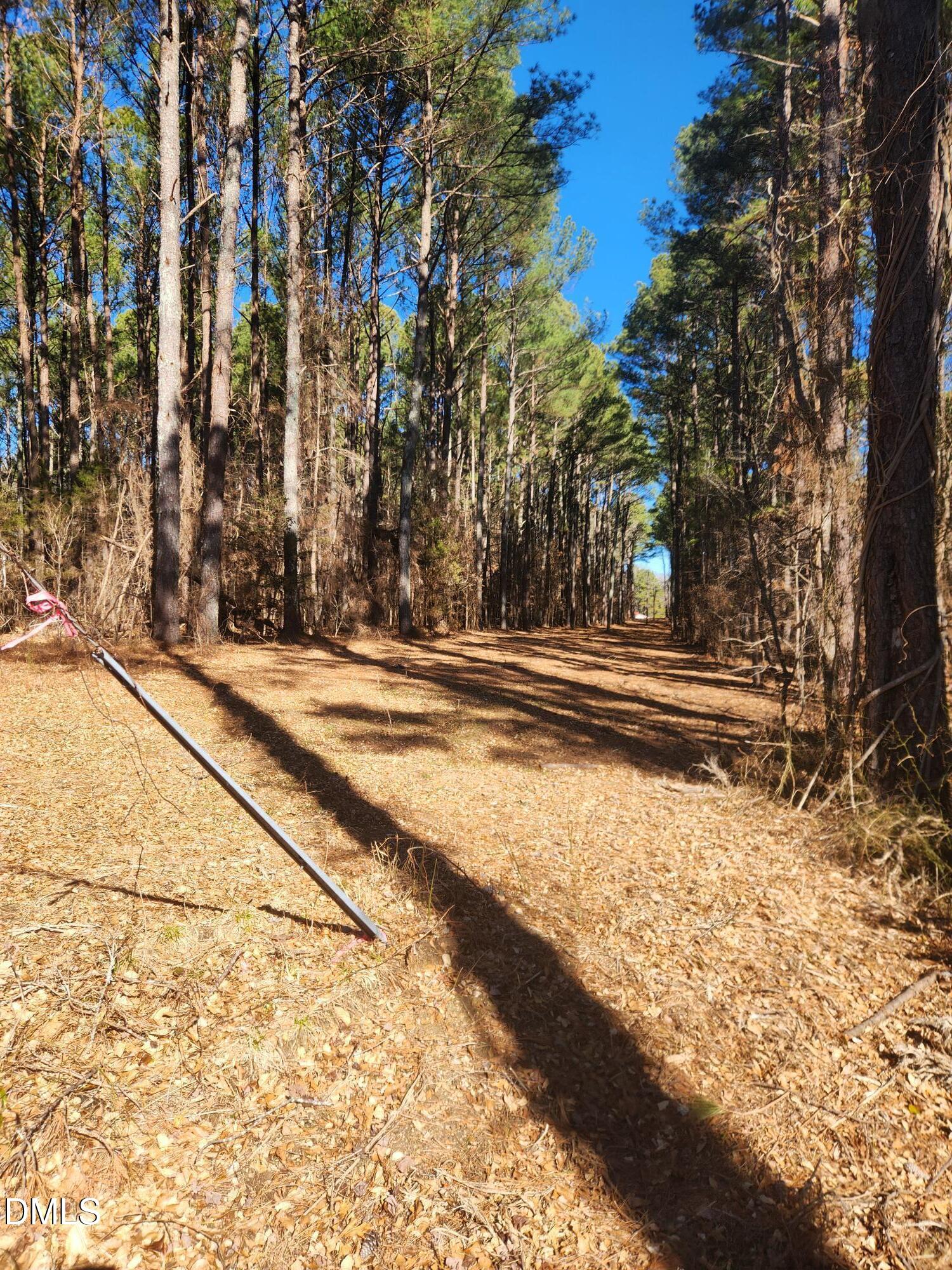 174 Solomon Worley Drive