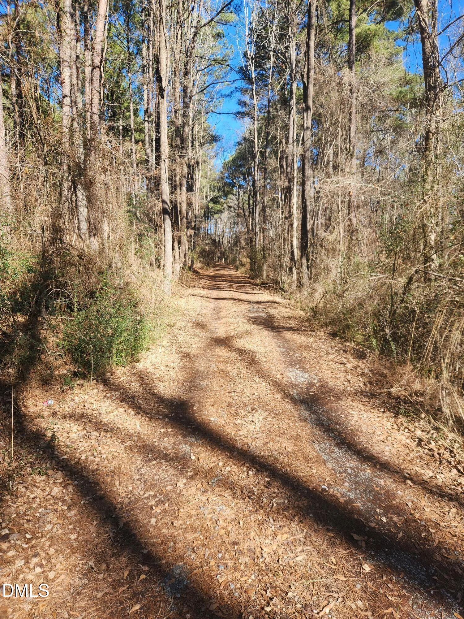 174 Solomon Worley Drive, Moncure, NC, 27559