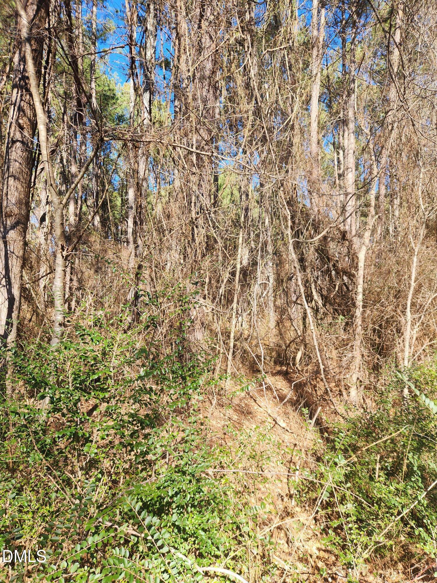 174 Solomon Worley Drive