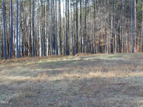 317 Doc Lane Manson NC 27553