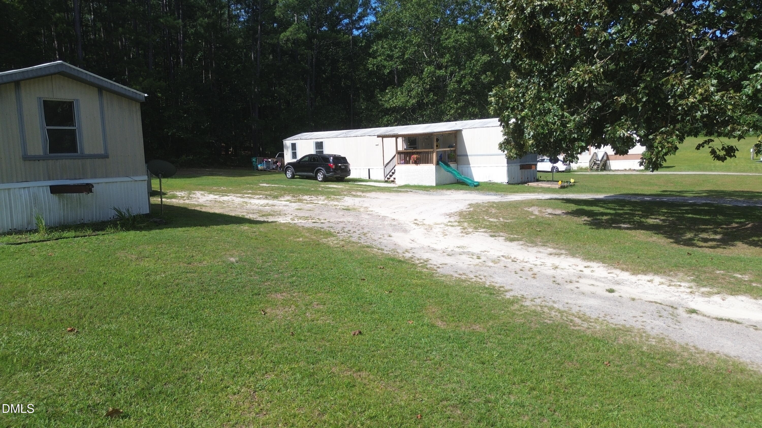 100 Wild Forest Lane