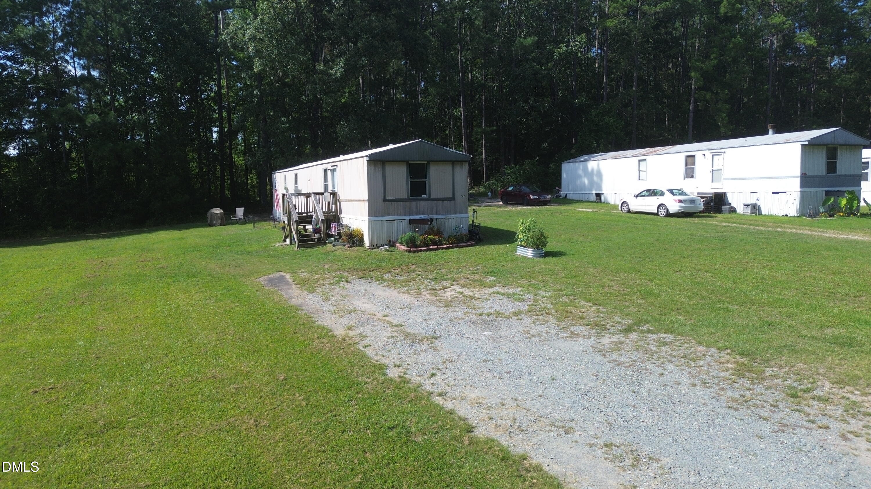 100 Wild Forest Lane