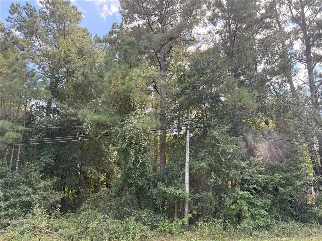 Lot 3 E Williams Street