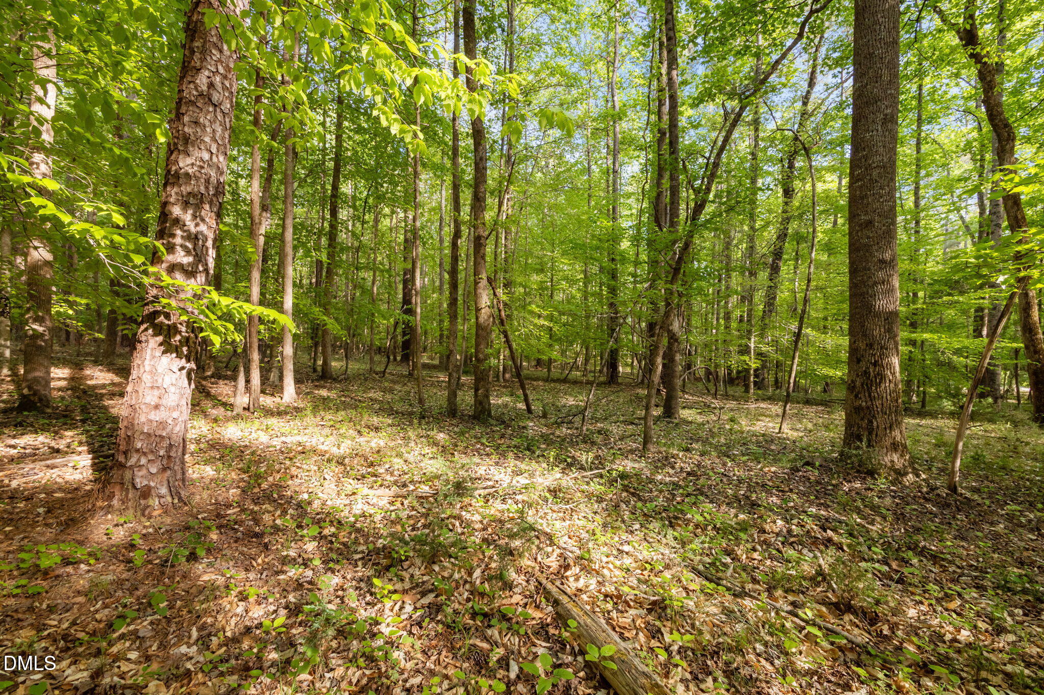 2a Union Grove Church