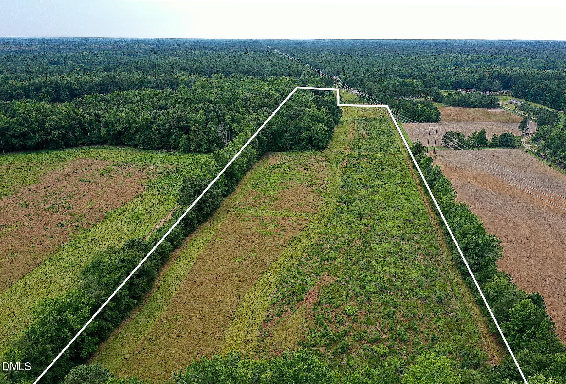 19.2 Acres Bunnlevel Erwin Road