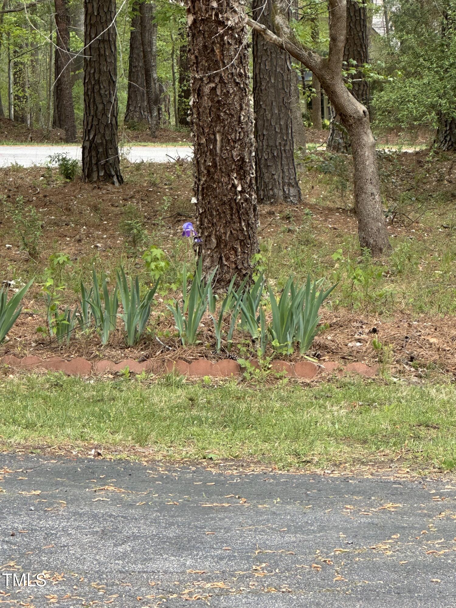 Hillsborough, North Carolina 27278, United States, 5 Bedrooms Bedrooms, ,3 BathroomsBathrooms,Residential,Active,144868