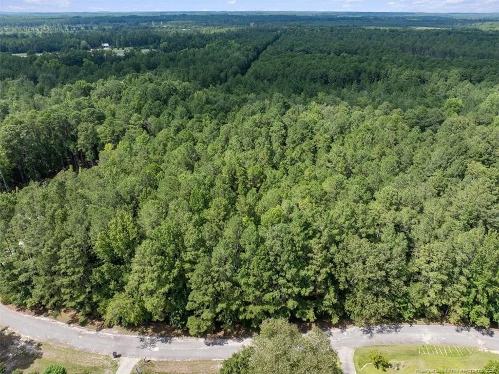 424 Timberline Drive
