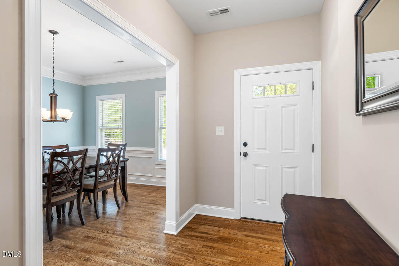 228 Scarlet Oak