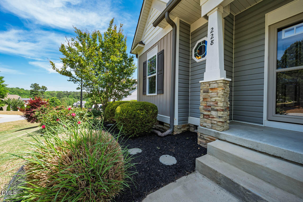 228 Scarlet Oak