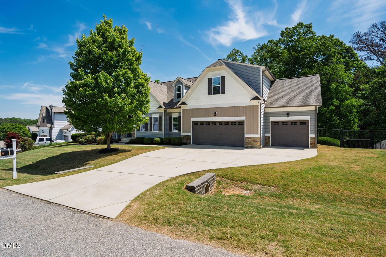 228 Scarlet Oak