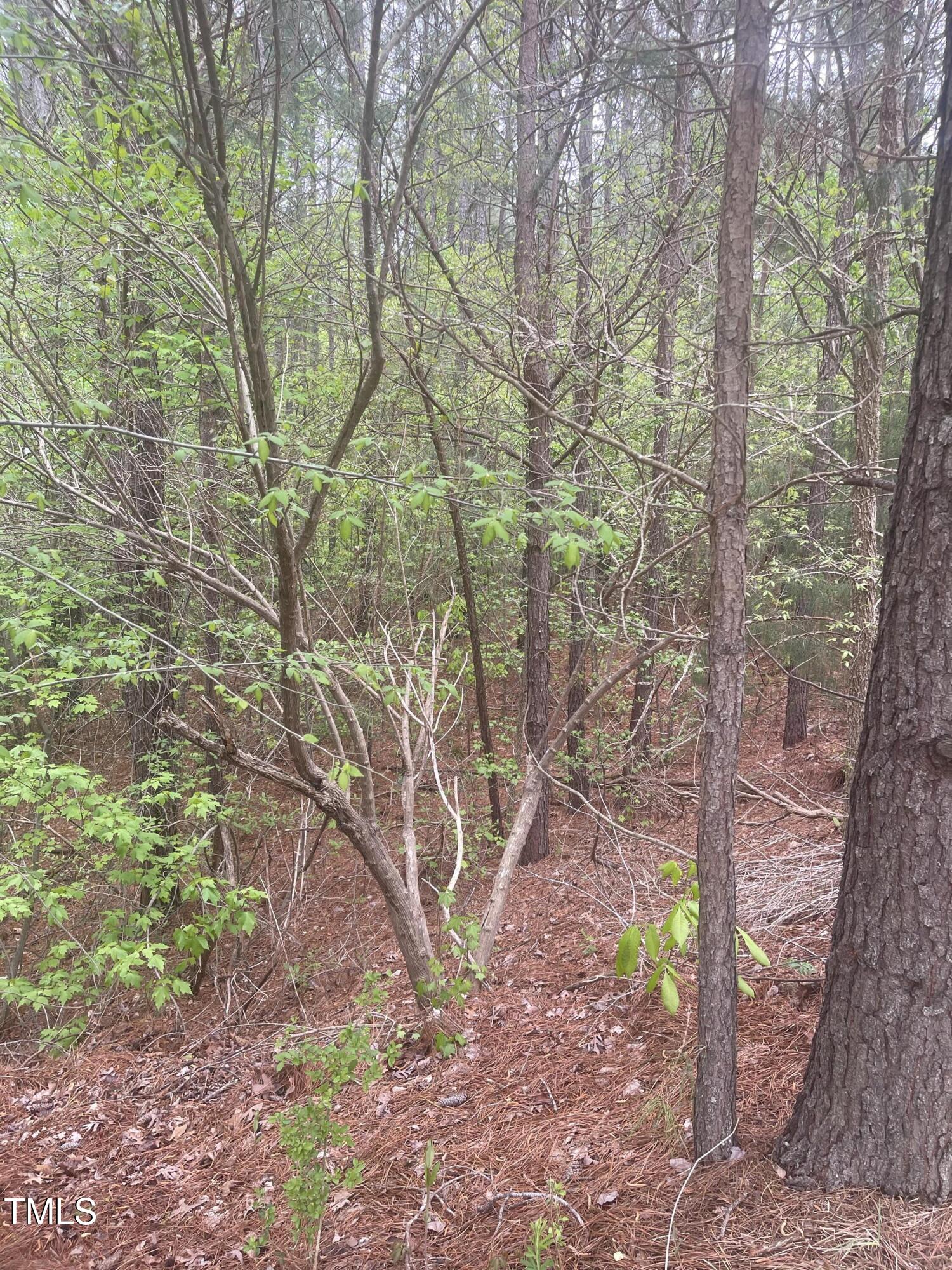 895 Berry Patch Lane