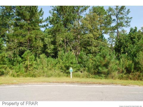 Photo of 222 Broadlake (639) Lane, Spring Lake, NC 28390 (MLS # LP734544)