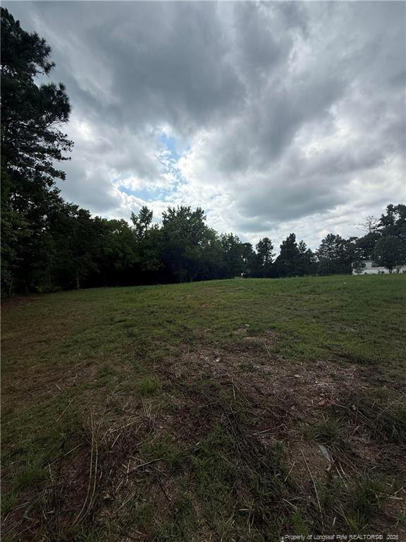 Carroll Store Road