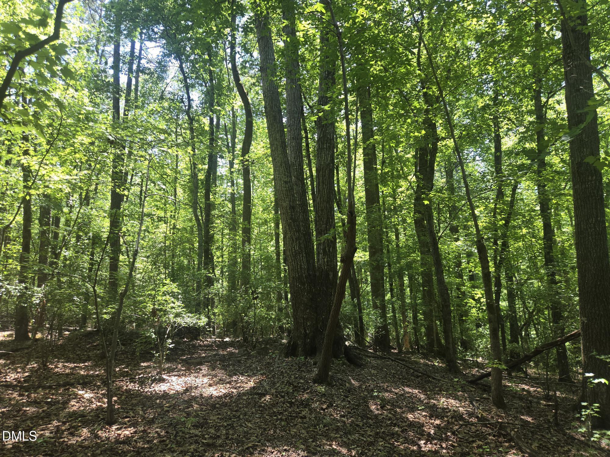 325 Walnut Branch Road