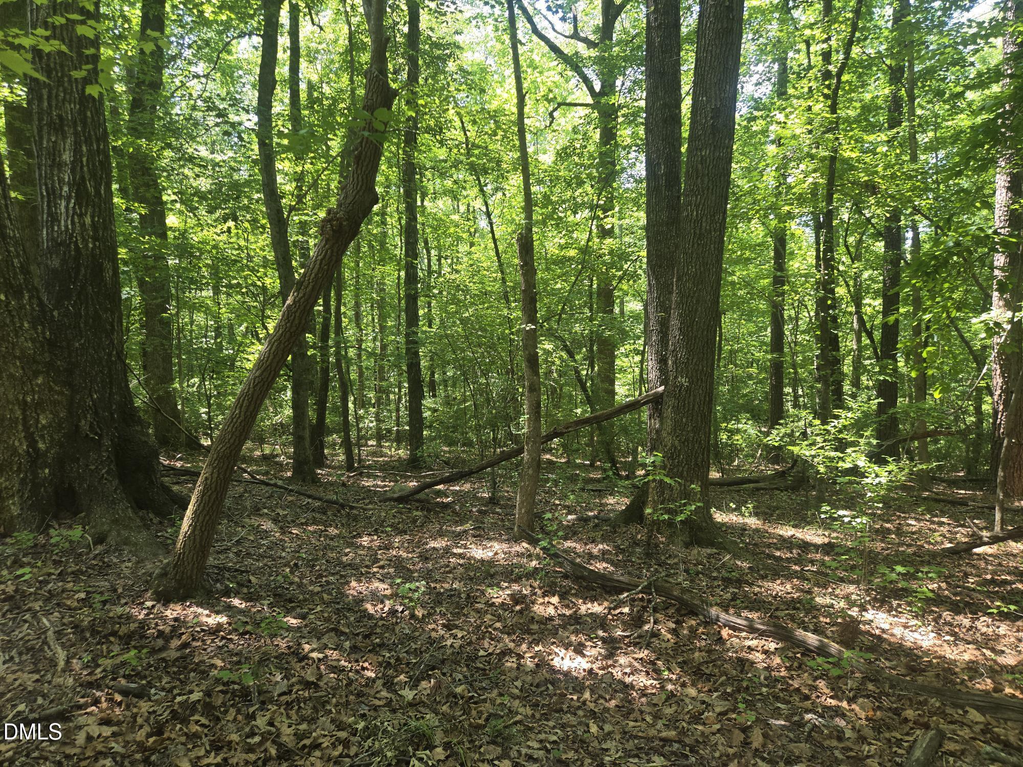 325 Walnut Branch Road